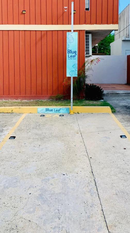 Appartamento Blue Leaf By The Sea Luquillo Esterno foto
